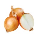 Cebula 