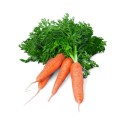 Marchew