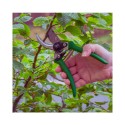 Sekatory